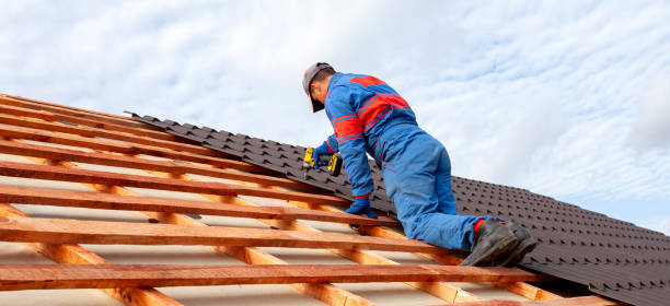 Best Steel Roofing  in Browntown, PA